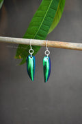 Jewel Beetle Earrings